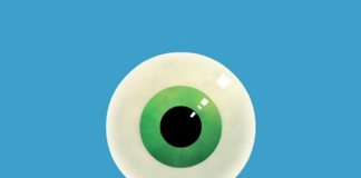 The evolution of the human eye